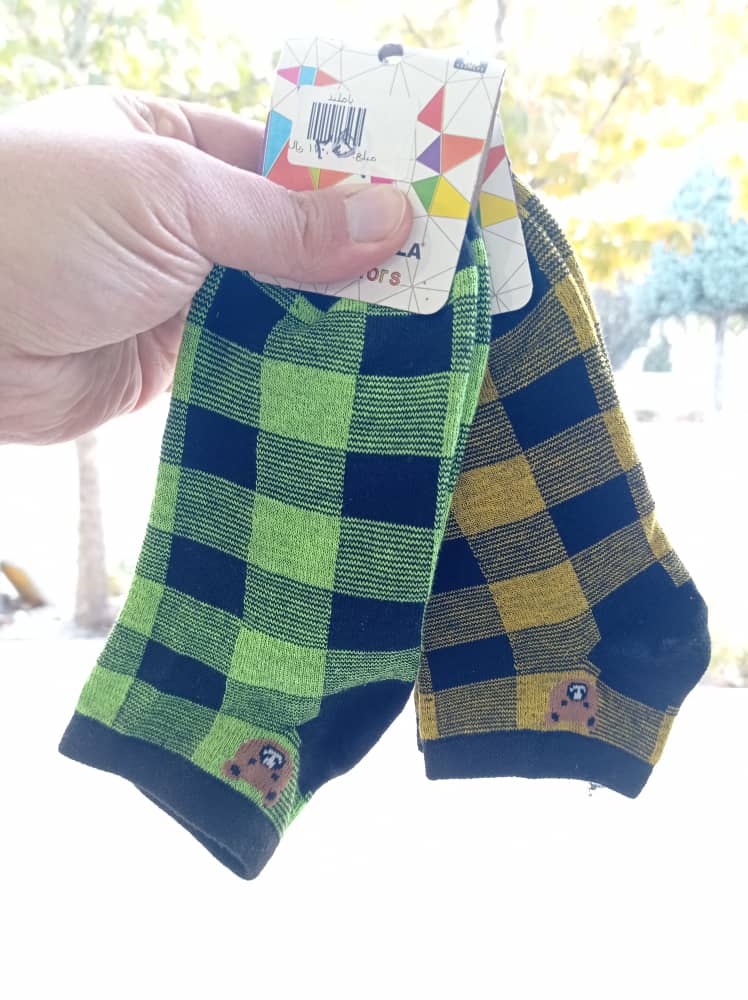 WhatsApp Image 2025-11-17 at 16.26.05