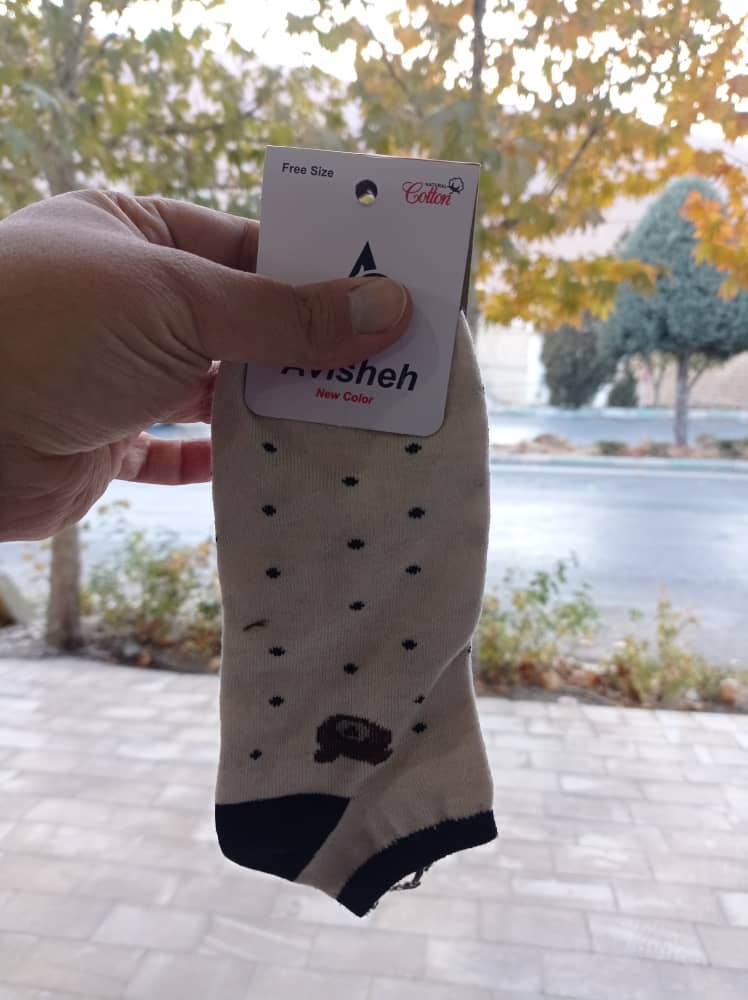 WhatsApp Image 2025-11-17 at 17.09.48 (1)