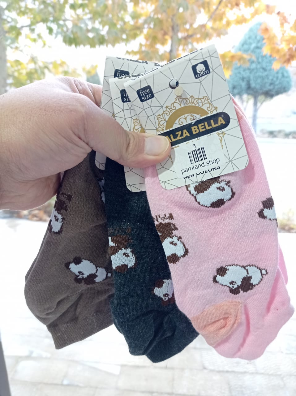 WhatsApp Image 2025-11-22 at 16.03.01